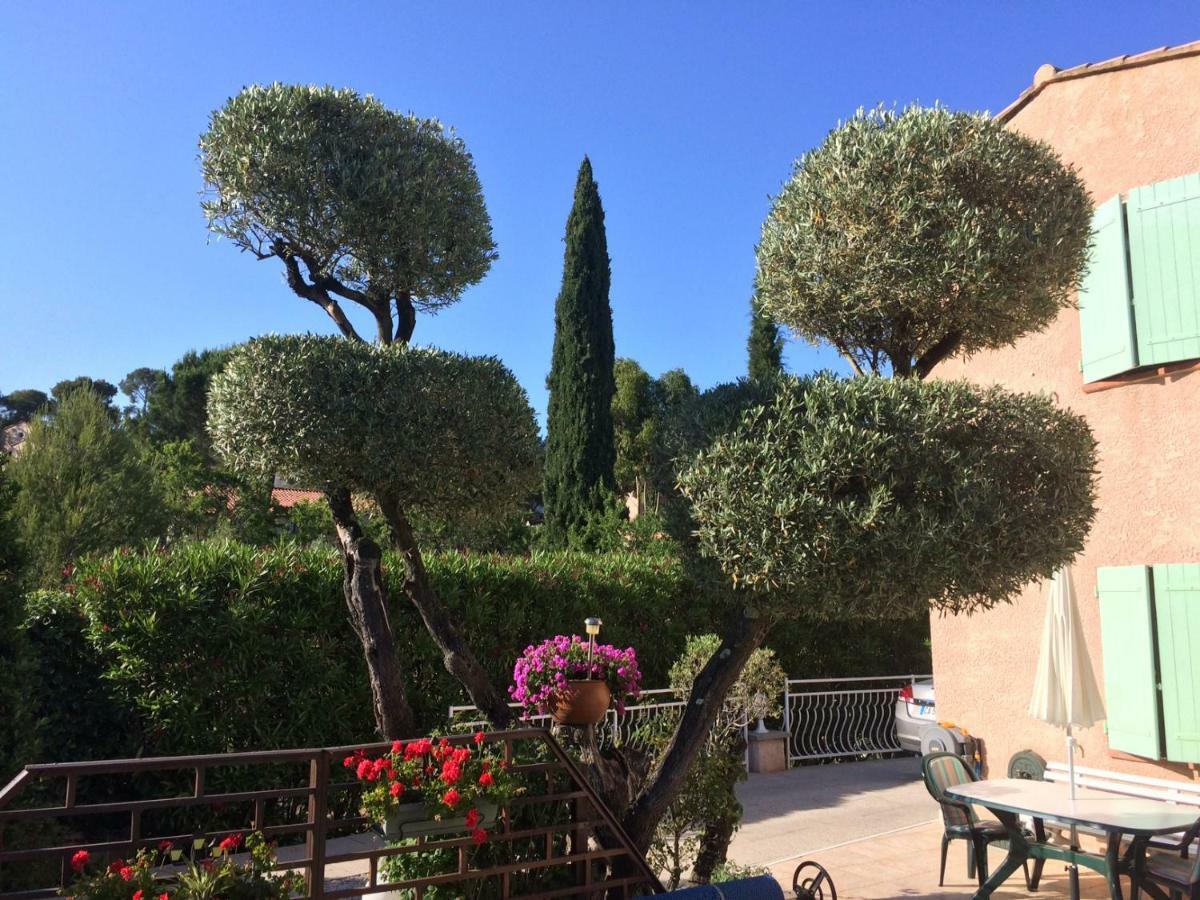 Les Oliviers La Cadiere Bagian luar foto